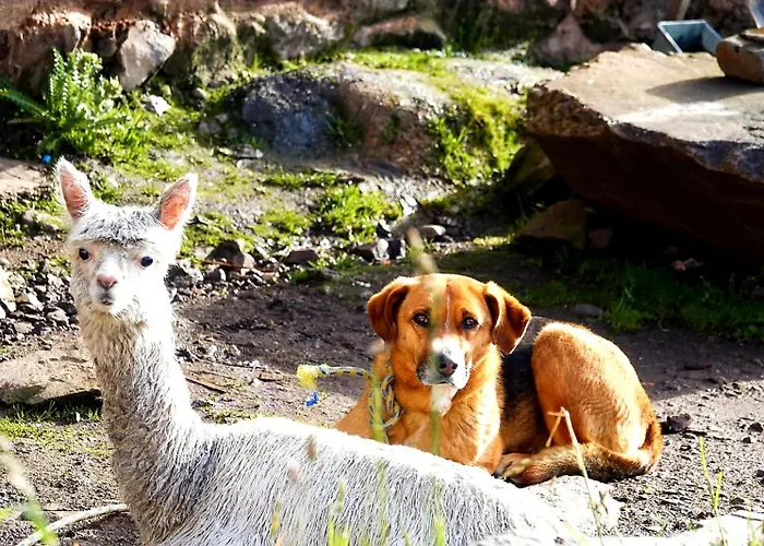 Ausangate Trek Logde * Labramarca